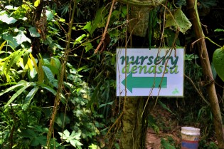 Nursery di Rumah Hijau Denassa dimanfaatkan sebagai tempat perawatan tanaman