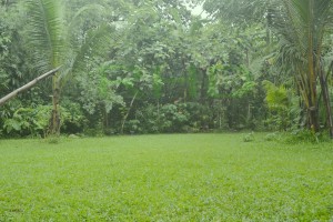 Pelataran Mappasomba di Rumah Hijau Denassa (RHD) Pelataran Mappasomba di Rumah Hijau Denassa (RHD).