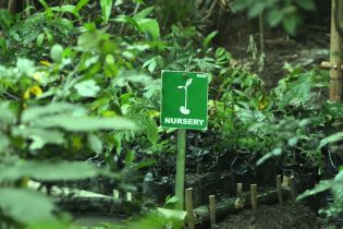 RHD. Nursery Denassa saat ini merawat ratusan benih tanaman (16/07/2014).