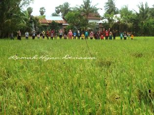 RHD. Kunjungan Klub Belajar Sipatokkong Makassar ke Persawahan Rumah Hijau Denassa (RHD) 19.03.2017