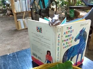 RHD. Katak Pohon Coklat (Polypedates leucomystax) Berbintik Hitam di Atas Buku Anak di TBM Denassa (04.08.2018)
