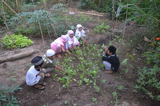 Kelas Komunitas di Kebun Sayur