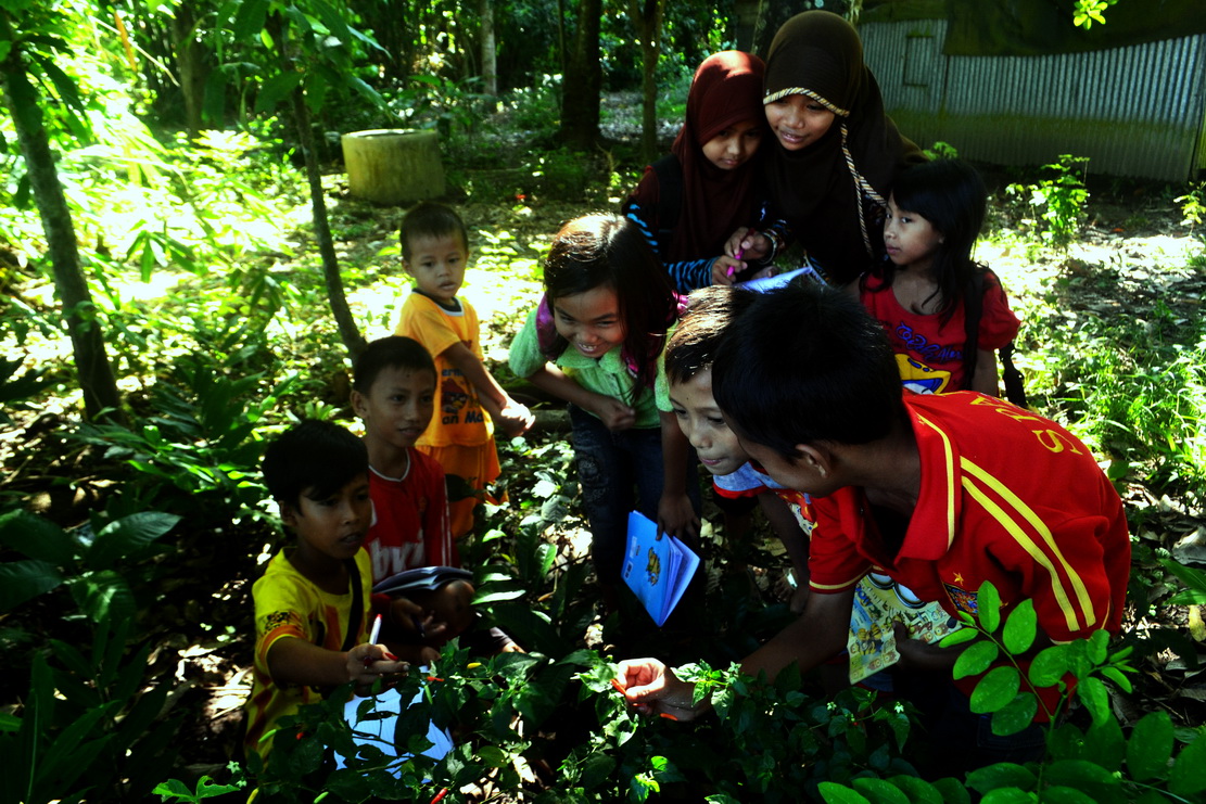 RHD. Kelas Komunitas Rumah Hijau Denassa (RHD) Belajar Tanaman