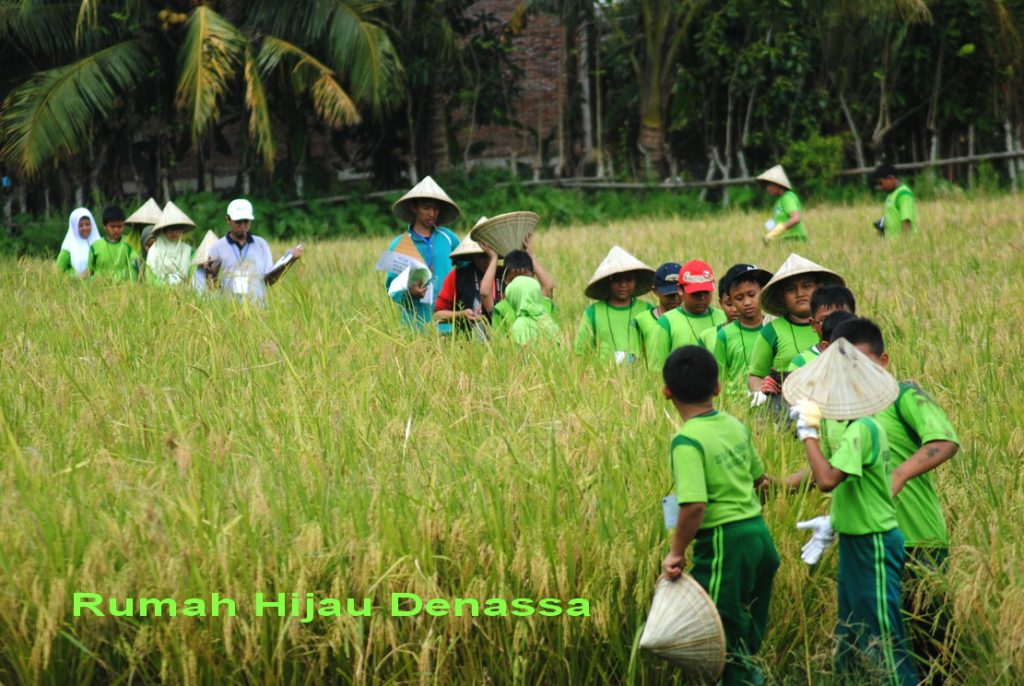 RHD. Field Trip SD Islam Al-Azhar Makassar di Rumah Hijau Denassa (RHD) tahun 2015