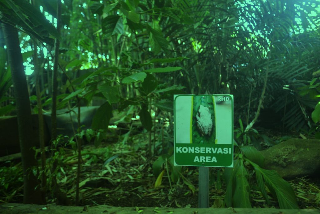 RHD. Kawasan Konservasi di Rumah Hijau Denassa (RHD) dengan icon Katak Pohon Coklat (Polypedates leucomystax)