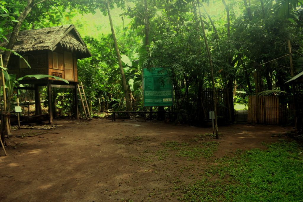 RHD. Lumbung Benih di Rumah Hijau Denassa (RHD)