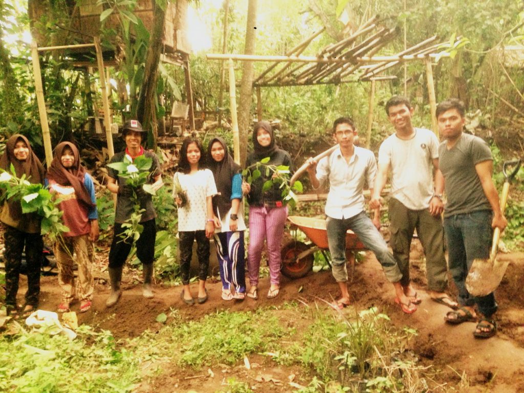 RHD. Pembenahan Kebun di Rumah Hijau Denassa (23.10.2016)