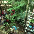 RHD. Suasana di Taman Bacaan Masyarakat (TBM) Denassa dalam Kawasan Rumah Hijau Denassa (RHD) yang Merupakan Sekretariat Kampung Literasi Borongtala, Gowa, Sulsel