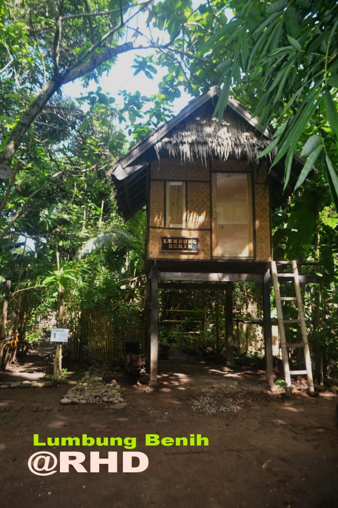 RHD. Llumbung Benih di Rumah Hijau Denassa (RHD)