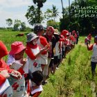 RHD. Outing Class SD Unggulan Kompleks Pemda Makassar (08.04.2017) di Persawahan Rumah Hijau Denassa (RHD)