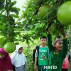 RHD. Kelas Komunitas dan Denassa Jelajah Sela (09/12/2017)