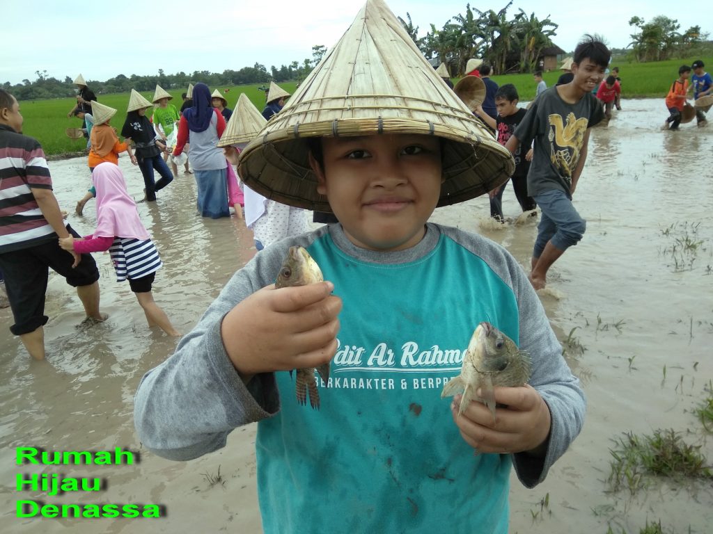 RHD. Sebanyak 55 Peserta Didik SDIT Ar-Rahmah Tamalanrea Makassar Ikut Field Trip ke Rumah Hijau Denassa. Tangkap ikan, Tangkap Bebek, dan Tanam Padi Merupakan Kegiatan Kunjungan (21.01.2018) ini