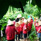 RHD. Field Trip SDI Unggulan BTN Pemda di Rumah Hijau Denassa (RHD), Ahad, 16/12;2018