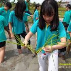 RHD. Siswa Kidsstar School Belajar Tanam Padi di Denassa (15.04.2019)