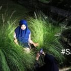 Spot Foto Keren di Sawahku