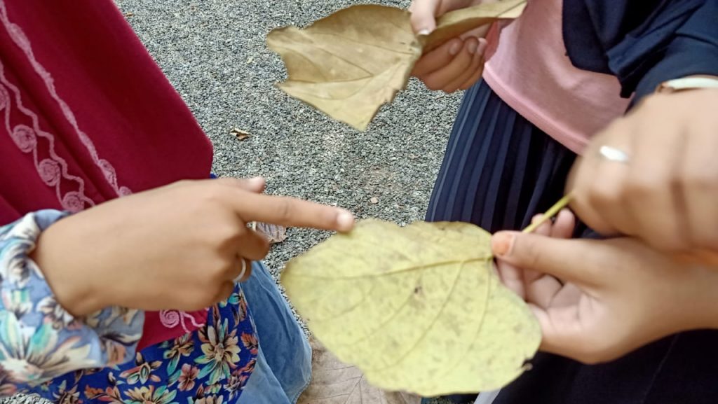 RHD. Kelas Komunitas Dikenalkan Jenis-jenis Daun