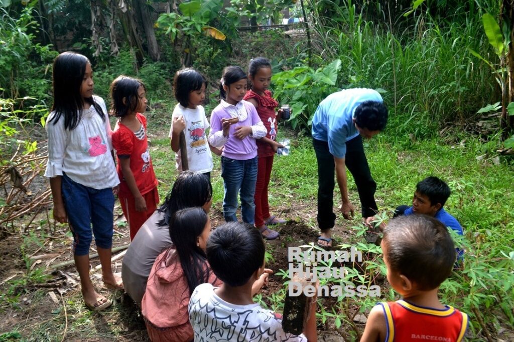 Belajar Berkebun