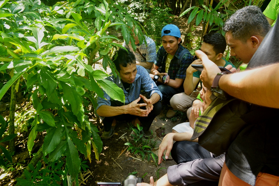 HiLo Green Community Belajar di Denassa