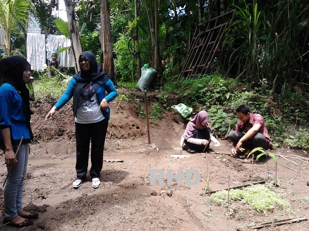 Menanam Kangkung