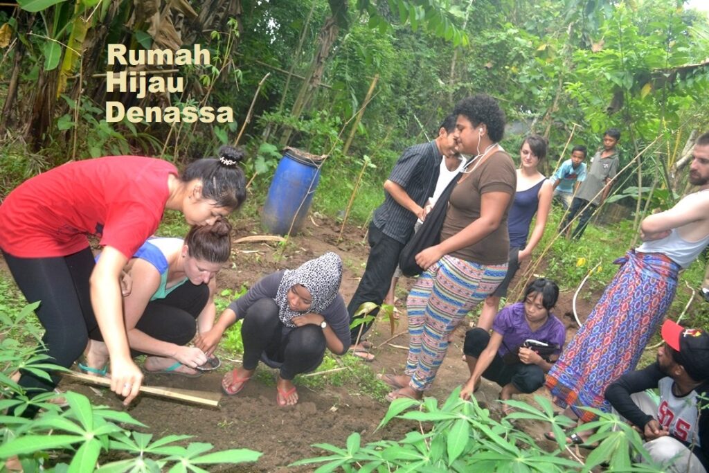 Pemuda dari 12 Negara Menanam Sayur di Kebun RHD