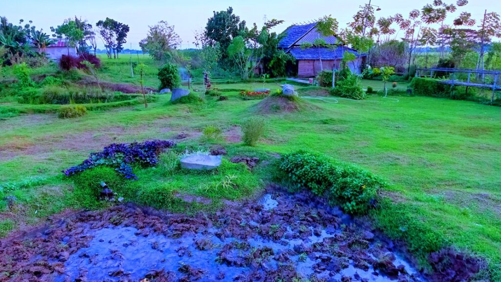 Specimen Kebun di Green Hall DBG