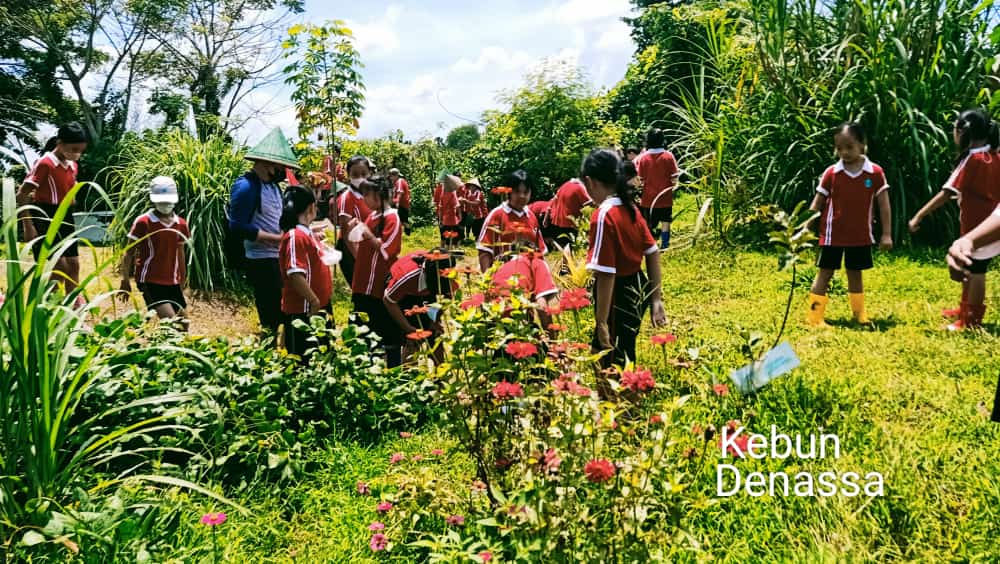 SIE di Kebun Denassa